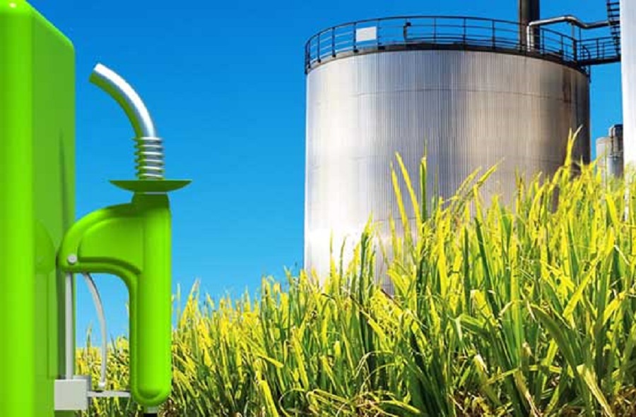 Argentina takes controversial step backwards on biofuels