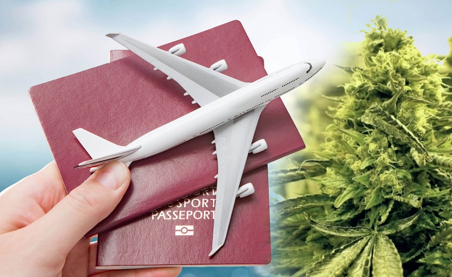 Uruguay raises marijuana THC percentage in pharmacies, considers sale to tourists