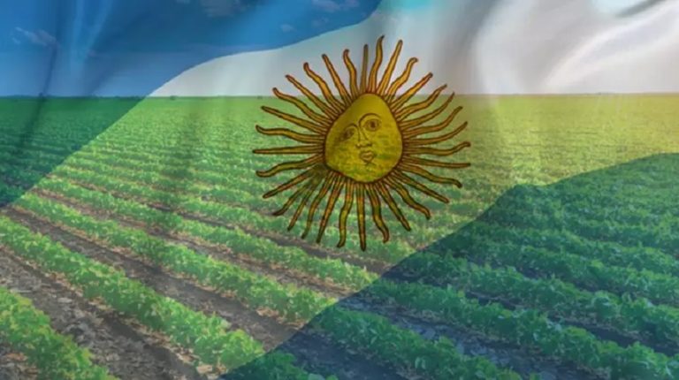 Argentina’s agribusiness claims it has lost US$1 billion due to government intervention