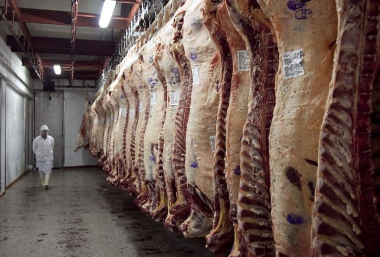 Uruguay and Paraguay meat exports hit record levels as Argentina blocks foreign sales