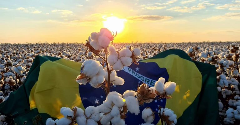 Brazil has opened 150 new export markets for agricultural products since 2019