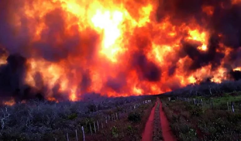 Bolivia’s fire flames have now spread to Paraguay