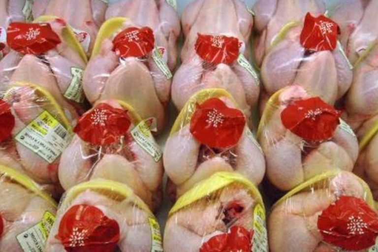 Brazil’s July chicken exports post highest monthly volume in 2021; revenues up nearly 50%