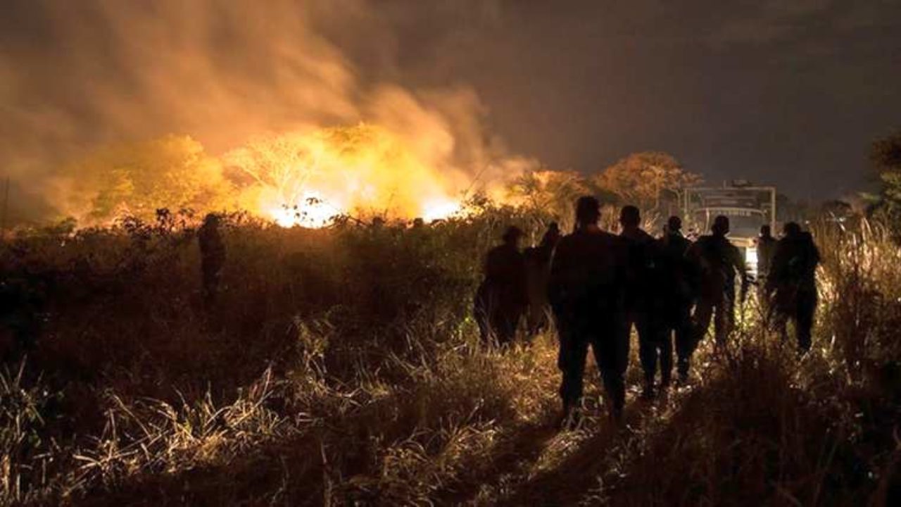 Forest fires in Bolivian region consumed 147,254 hectares