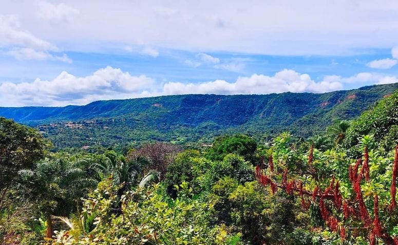 Chapada do Araripe. (Photo internet reproduction)