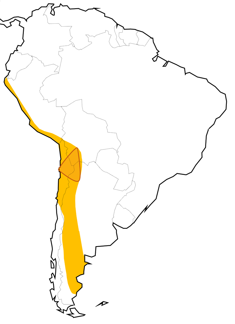 Lithium Triangle in South America. (Photo internet reproduction)