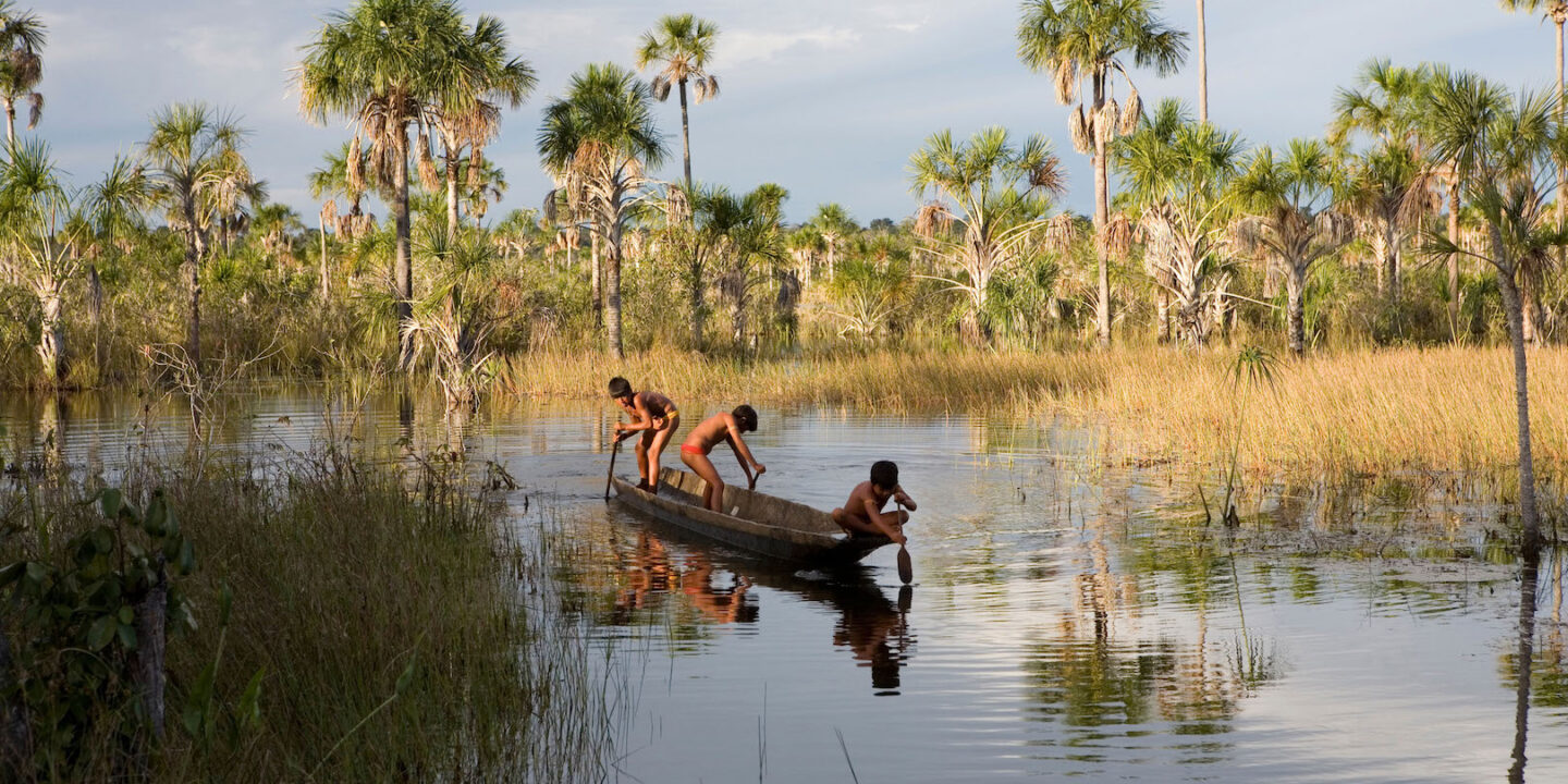 Xingu-fishers