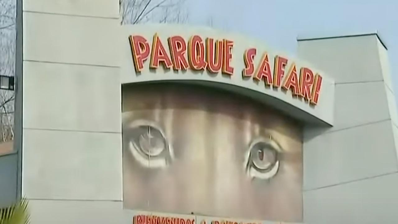 A zookeeper dies in Chile after being attacked by a tiger