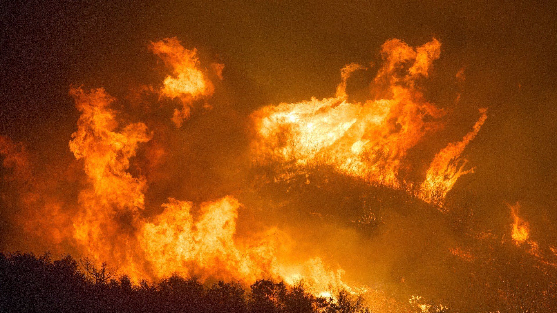 bolivia-wildfires