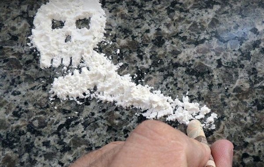 Bolivia: Coca report shows increase in cultivated hectares in 2020