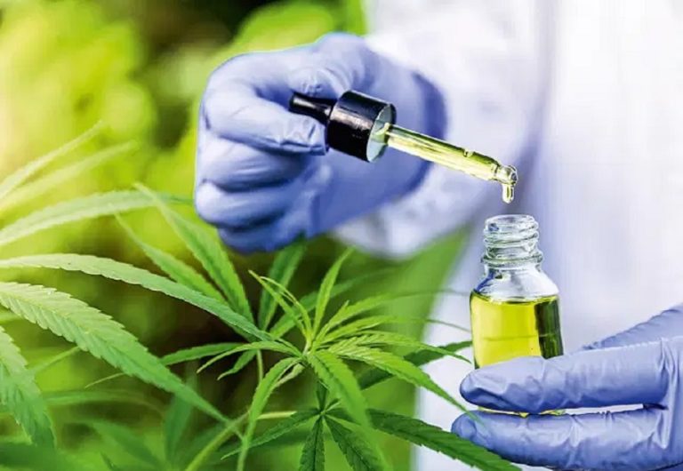 Brazilian scientists to test cannabidiol for treatment of Long Covid