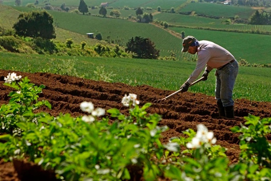 Uruguay has “great opportunity” to become a responsible food producer – Environmental Minister
