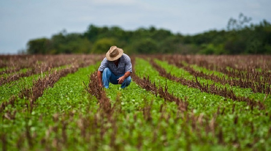 The Americas highlight importance of their agricultural sector for the world