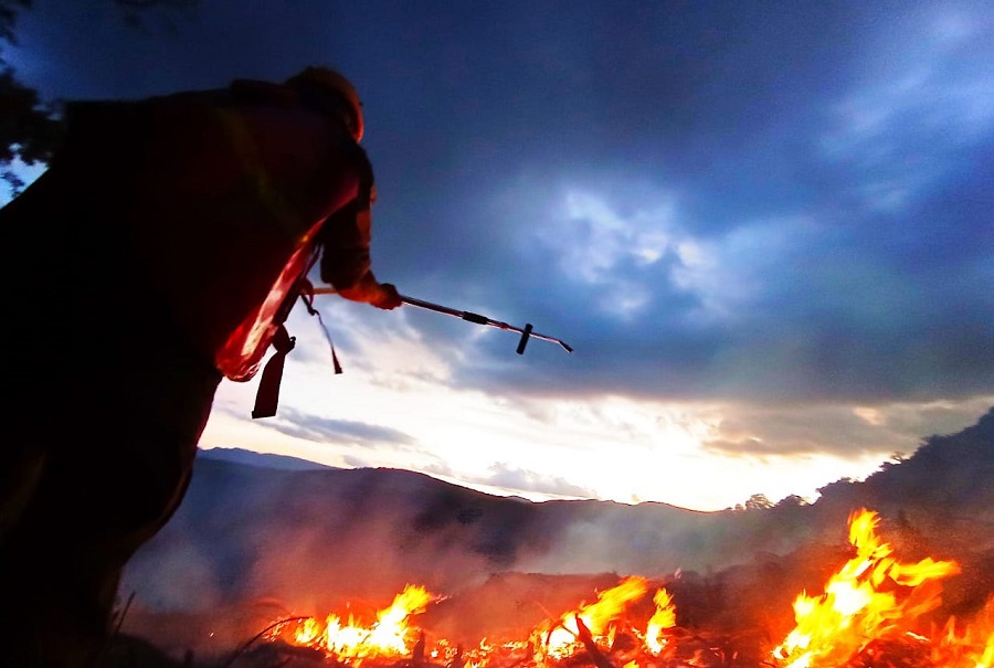 Bolivia: Santa Cruz forest fires destroy nearly 800,000 hectares, ravaging protected areas