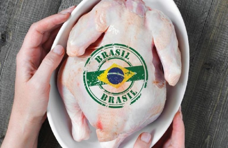 USDA projects 3% increase in Brazilian chicken production and exports in 2022