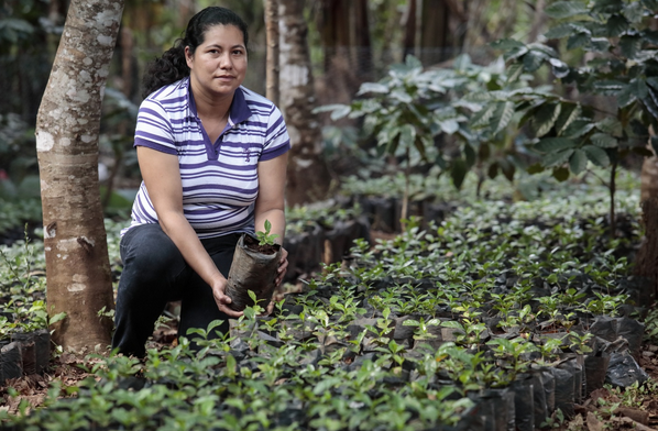 According to the company, the first round of investments will support 3,000 small farmers and revitalize 20,000 hectares of forest in three years.