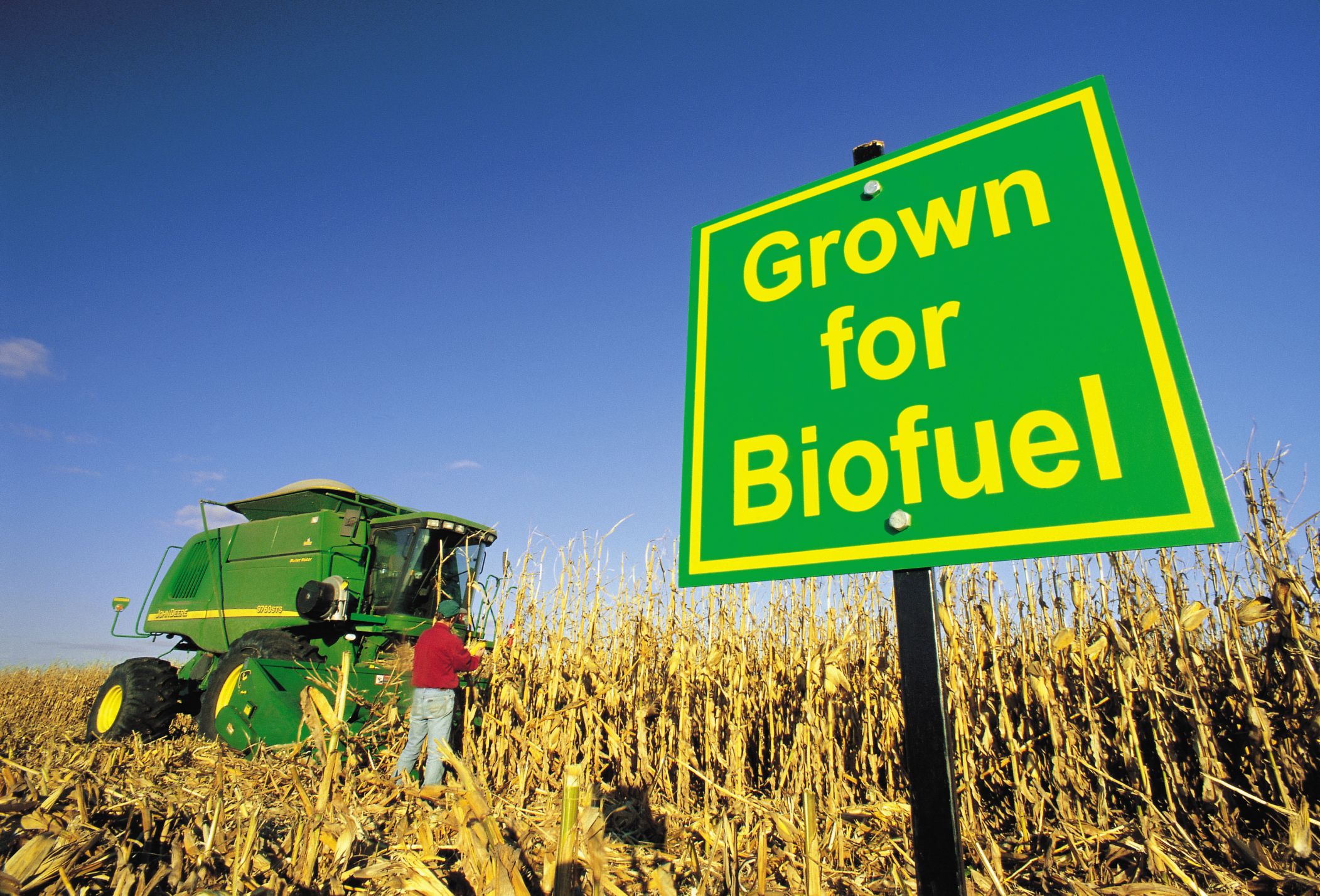 Panama wants to reduce fuel imports and boost ethanol production