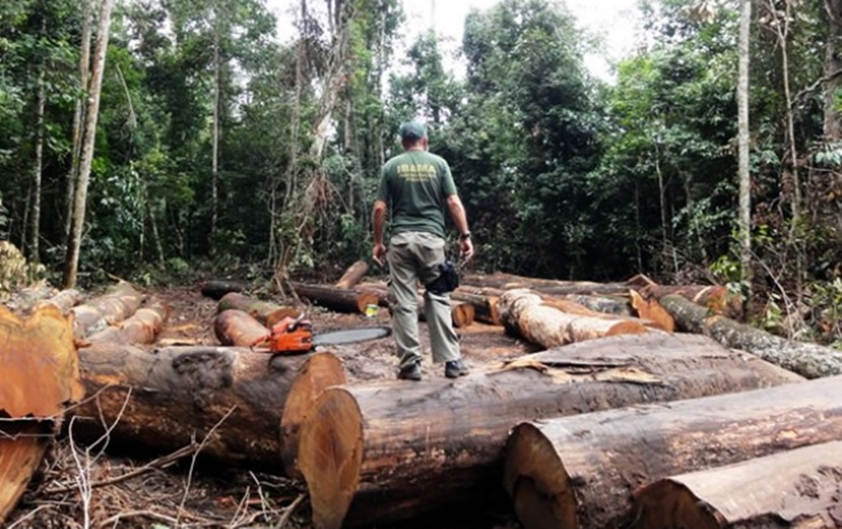 amazon-deforestation