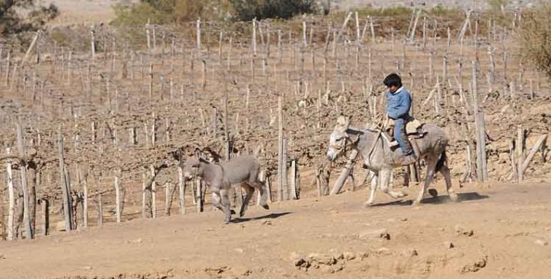 chile-drought