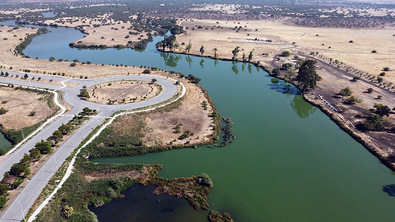 park-caren-chile