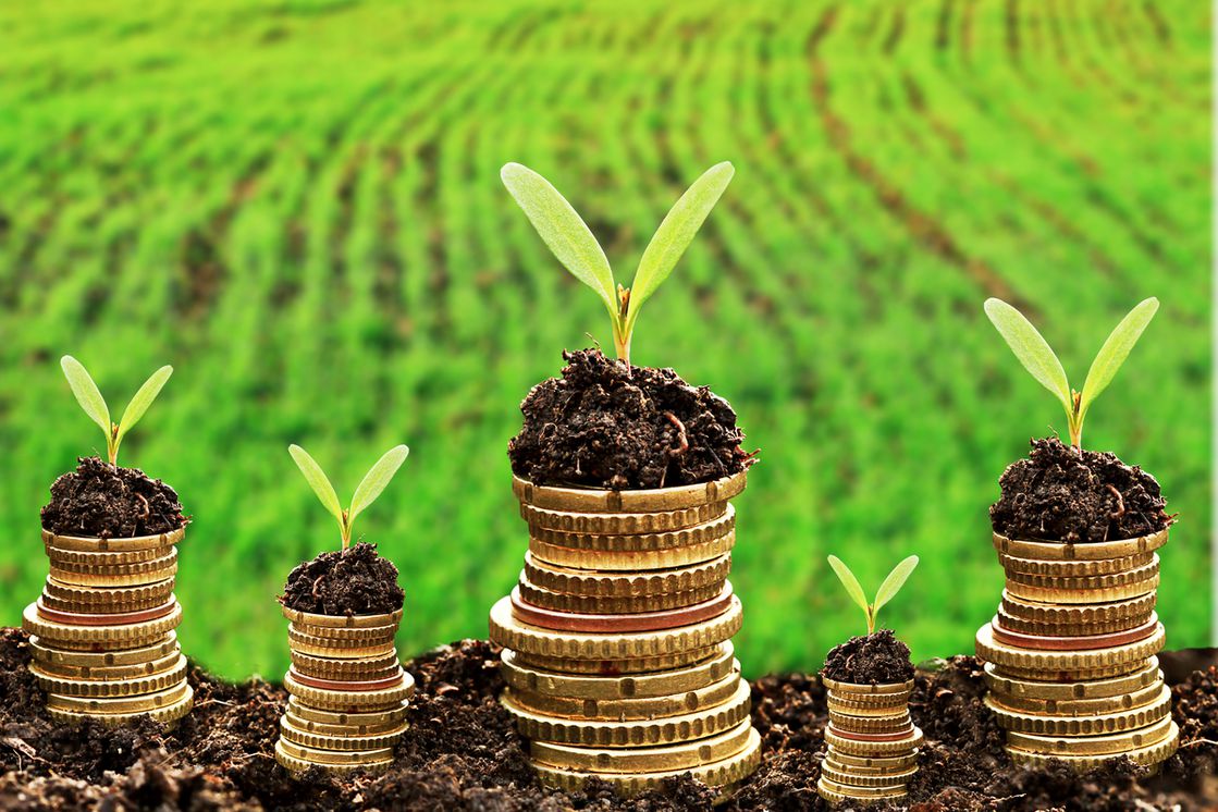 sustainable-finances