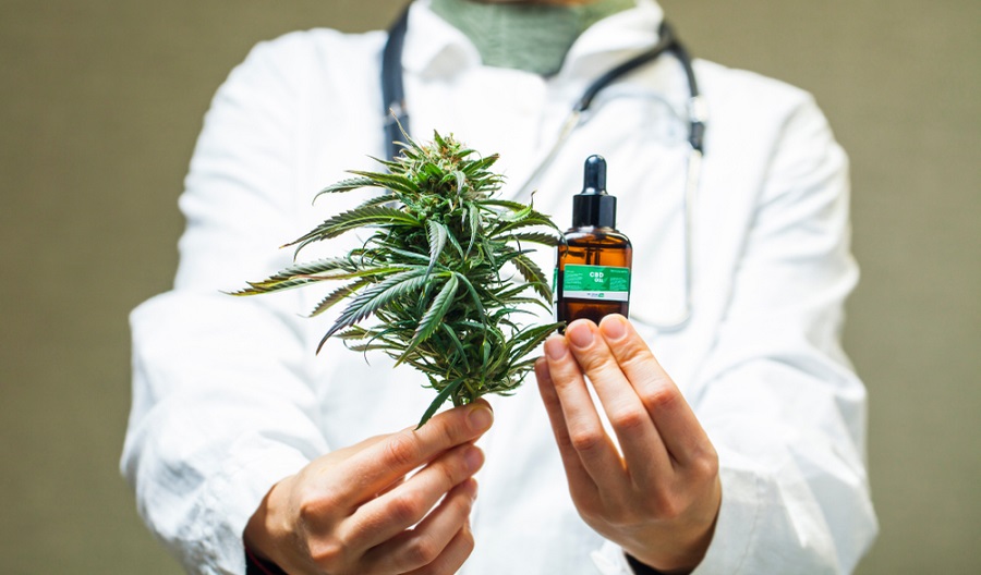 Doctor,Hand,Hold,And,Offer,To,Patient,Medical,Marijuana,And