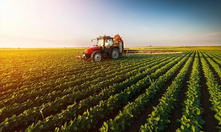 COP26: Brazil to showcase agribusiness sustainability at Glasgow meeting