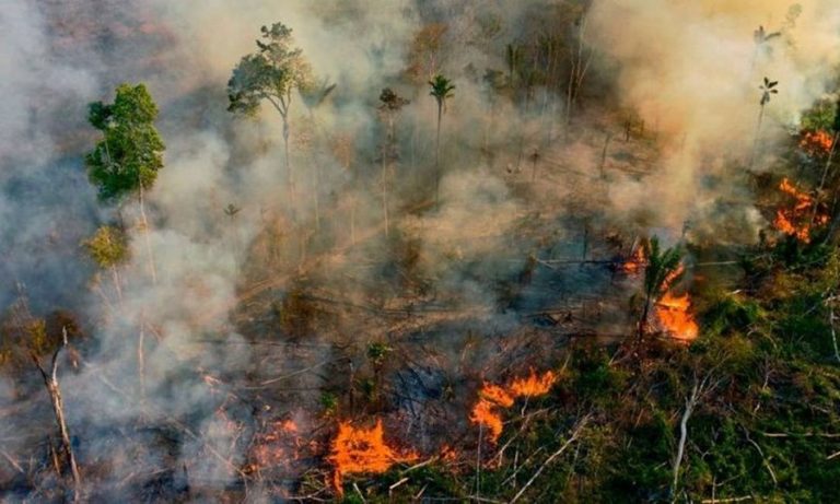 September 2021 fires in Brazilian Amazon around half of those in September 2020