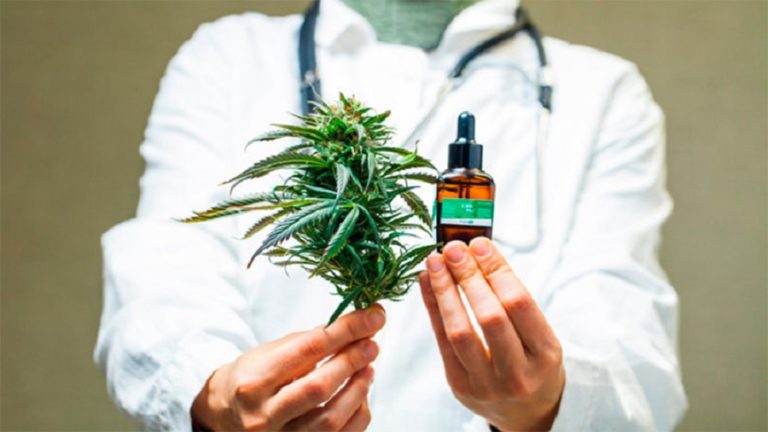 Argentina’s Jujuy province is first in country to use cannabis oil for medicinal purposes
