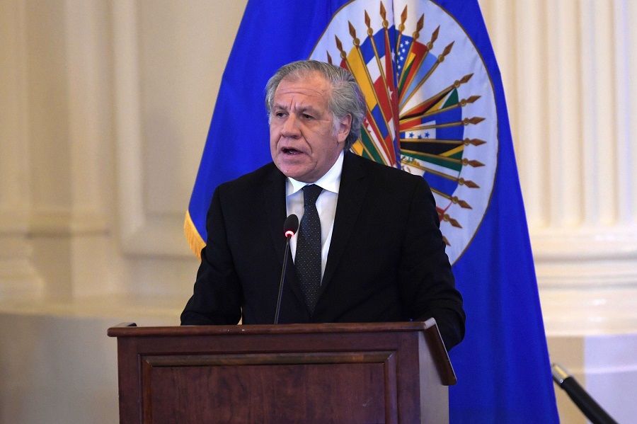 Brazilian lawyer appointed new OAS commissioner against anti-Semitism