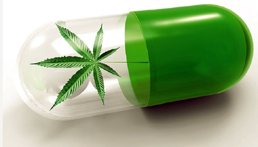 Brazil health regulator simplifies cannabis importation