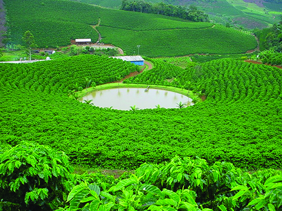Agriculture is big business in Brazil. (Photo internet reproduction)
