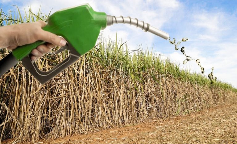 COP26: Ethanol is Brazil’s main focus in UN presentation