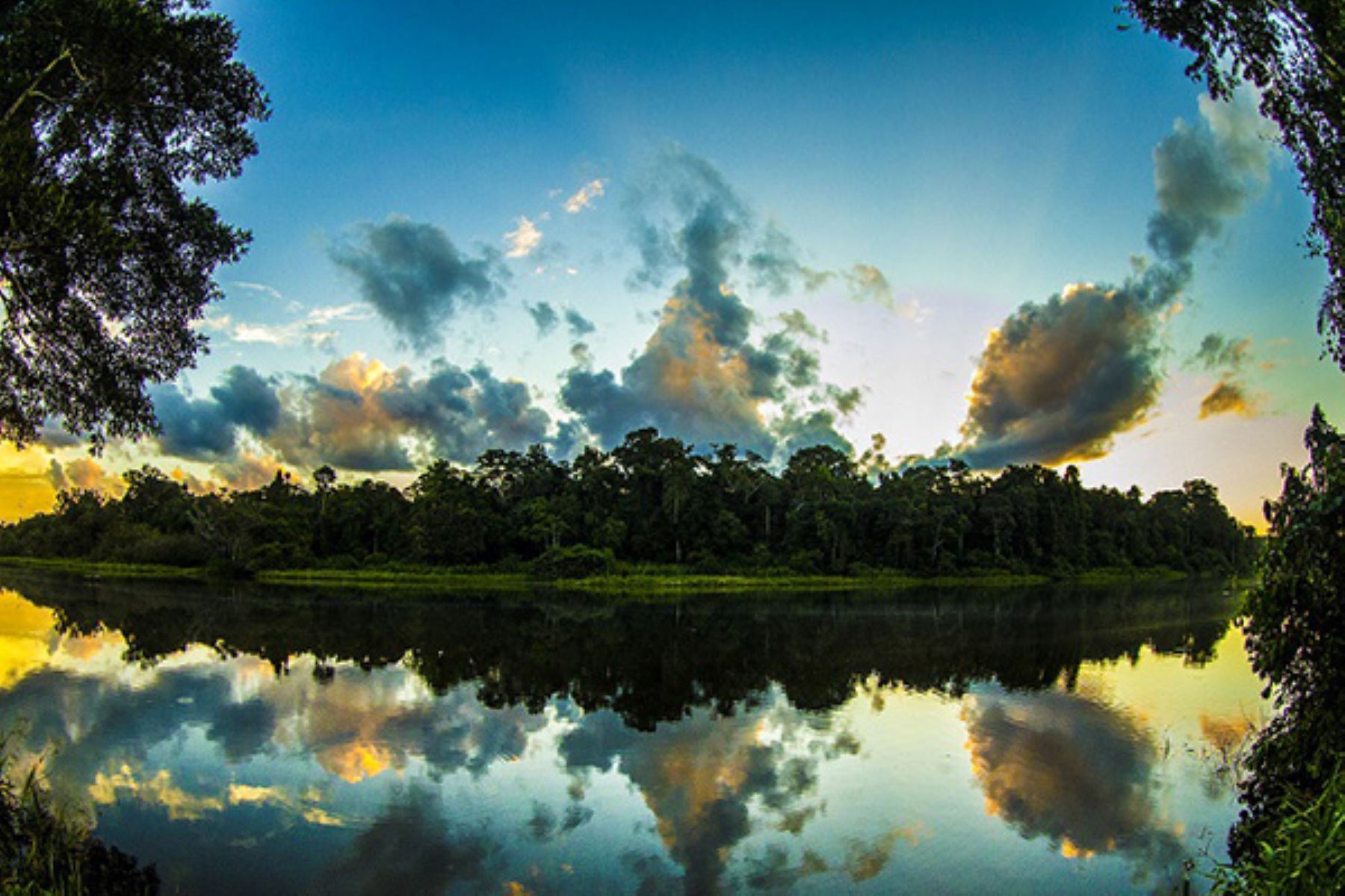 Manu national park peru
