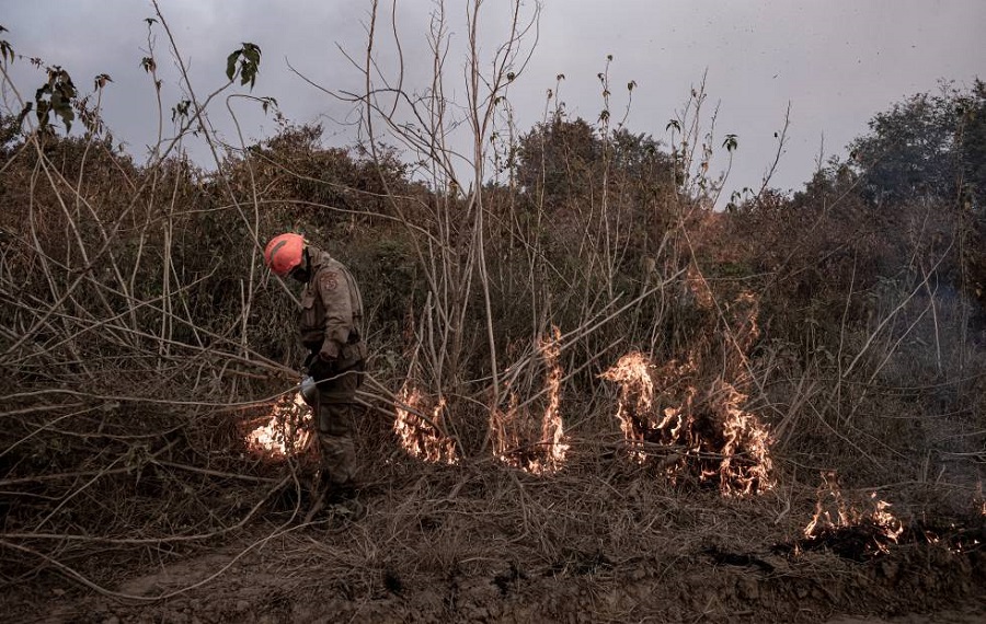 IBGE: Number of cities in Brazil affected by fires up 43% between 2017 and 2020