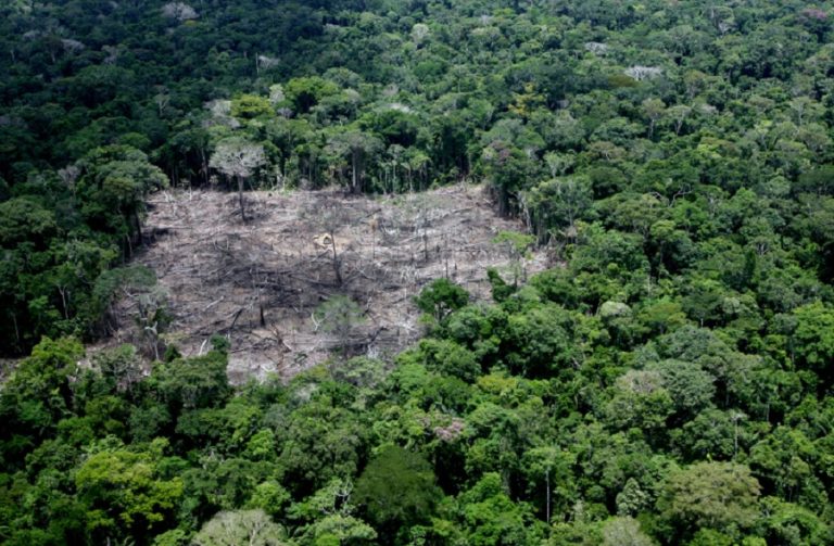 COP26: Brazil announces more ambitious emission cuts and deforestation targets