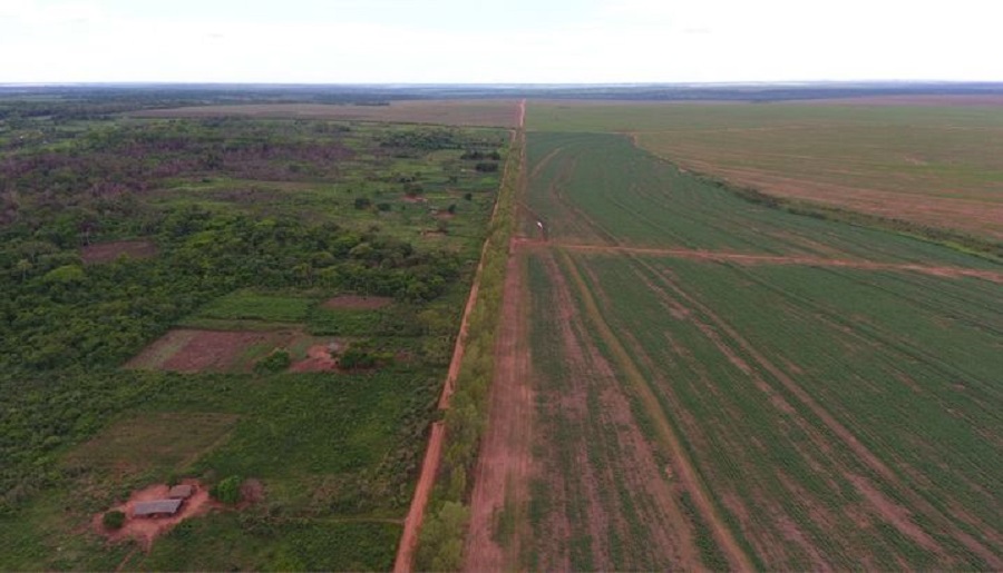 Investigation unveils largest deforestation case in Paraguay Atlantic Forest