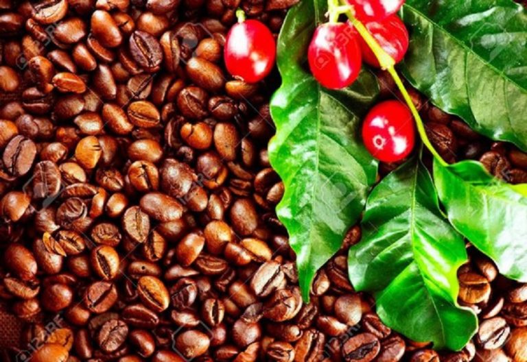 Commodities: Coffee price soars to its highest level in nearly 10 years