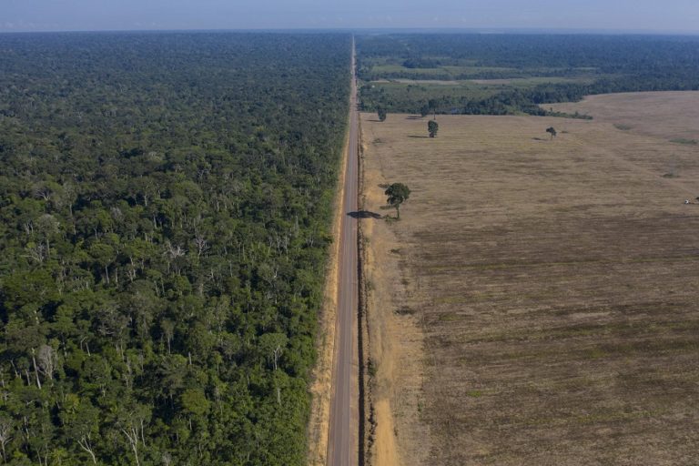 Deforestation in Brazil’s Legal Amazon estimated to have increased by 21.97% in 2021