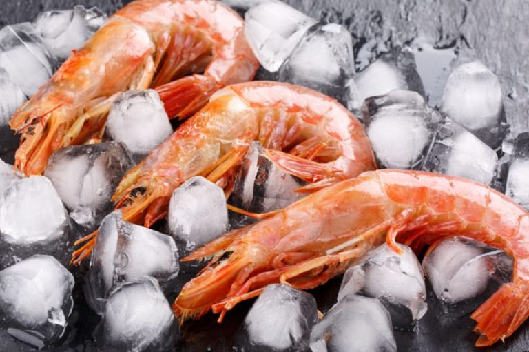 Patagonian shrimp to generate 400 jobs in Paraguay
