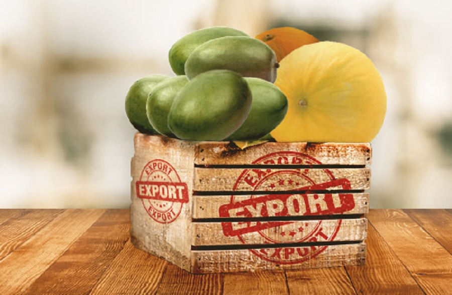 Brazil expands opportunities for fruit exports to Canada