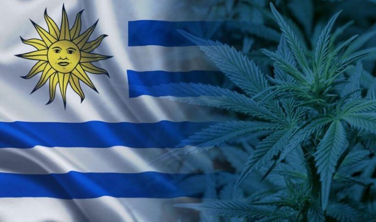 Uruguay plans to allow tourists access to legal marijuana