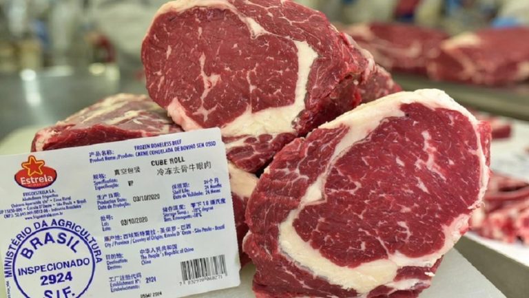 With Chinese embargo, Brazil beef exports drop 43% in October
