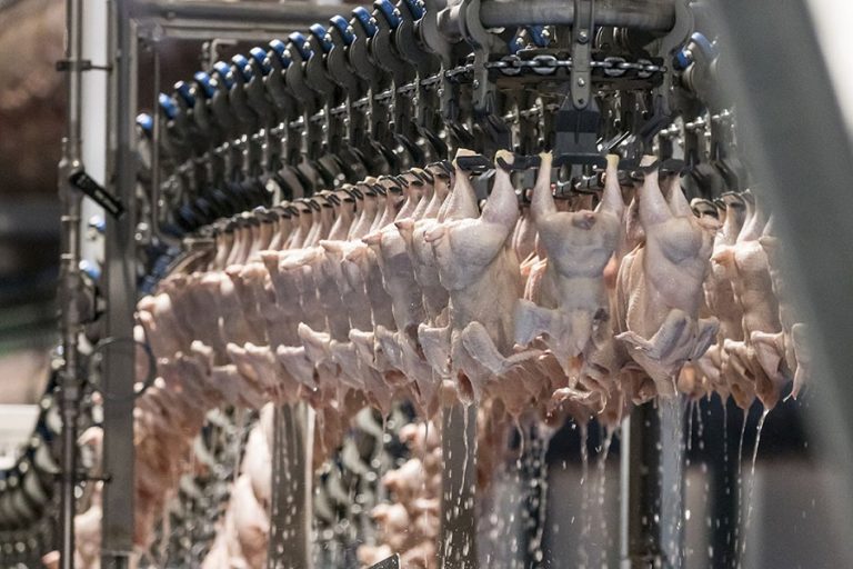 Brazil challenges EU barriers against poultry meat and triggers WTO dispute settlement