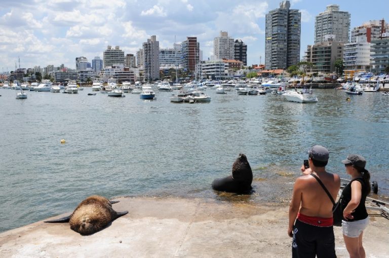 Fewer Argentines and Brazilians to visit Uruguay this season, compared to pre-pandemic?