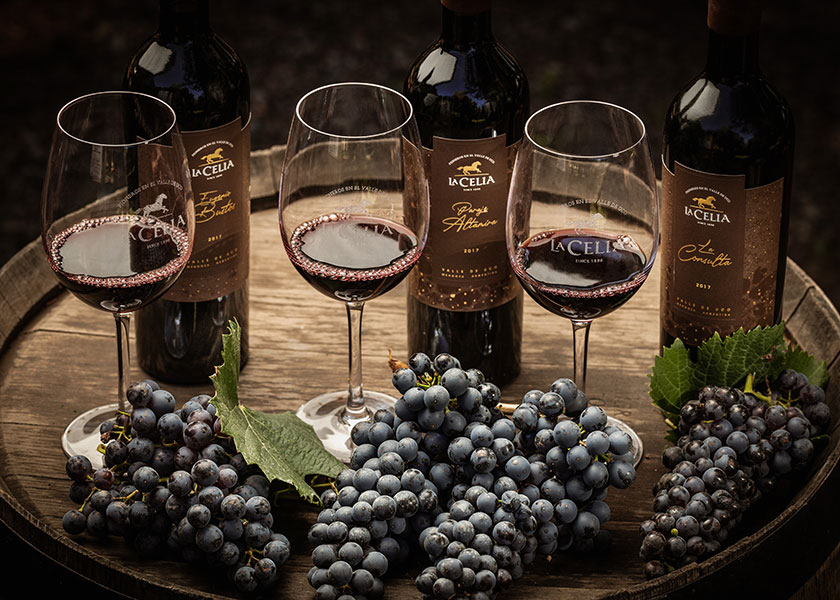 La celia winery argentina