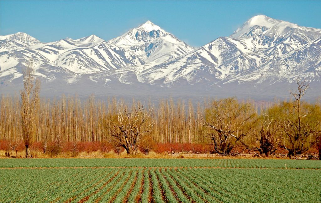 Snow-capped mountains, fields, and trees in a rural landscape