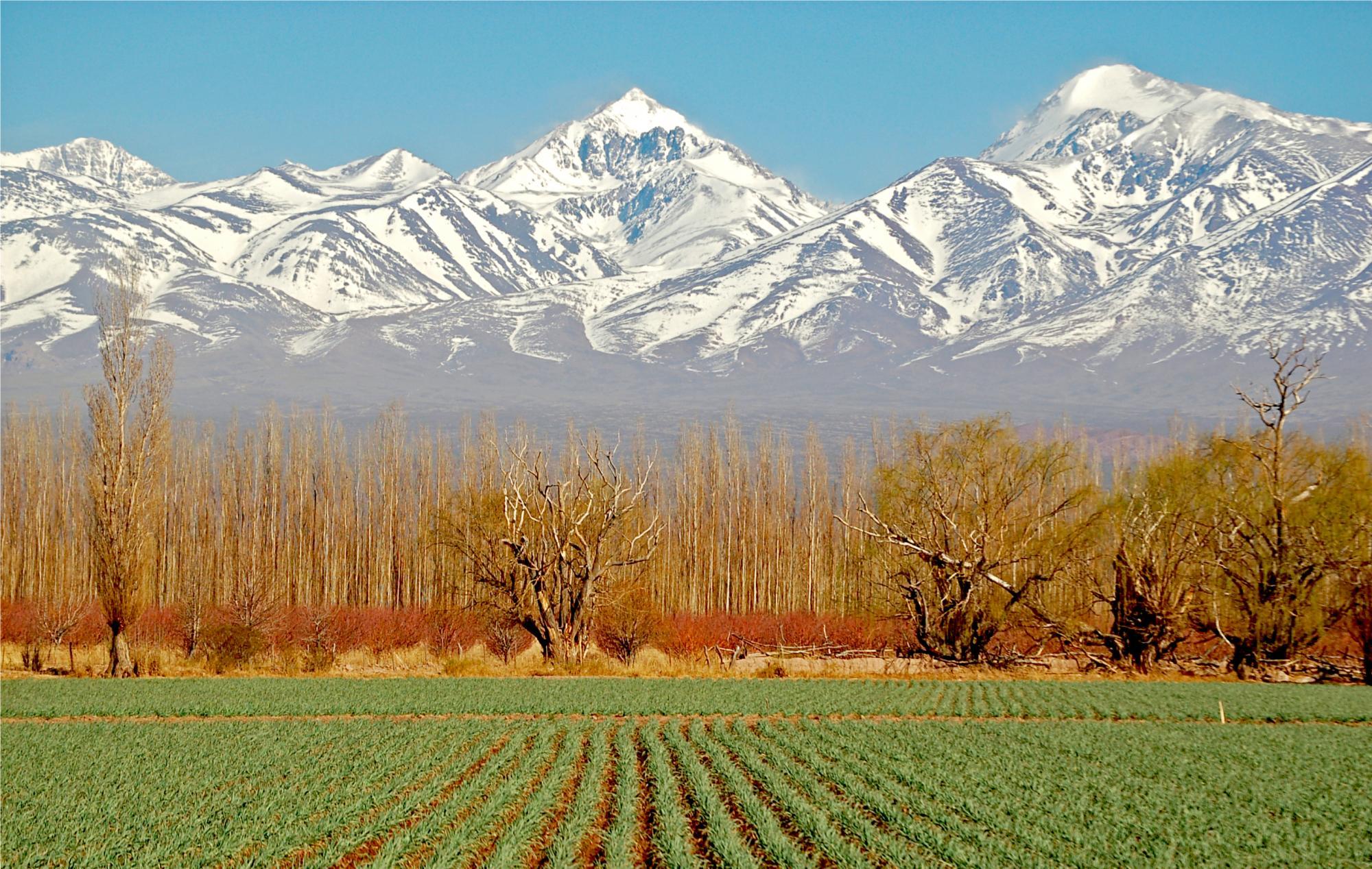 Snow-capped mountains, fields, and trees in a rural landscape