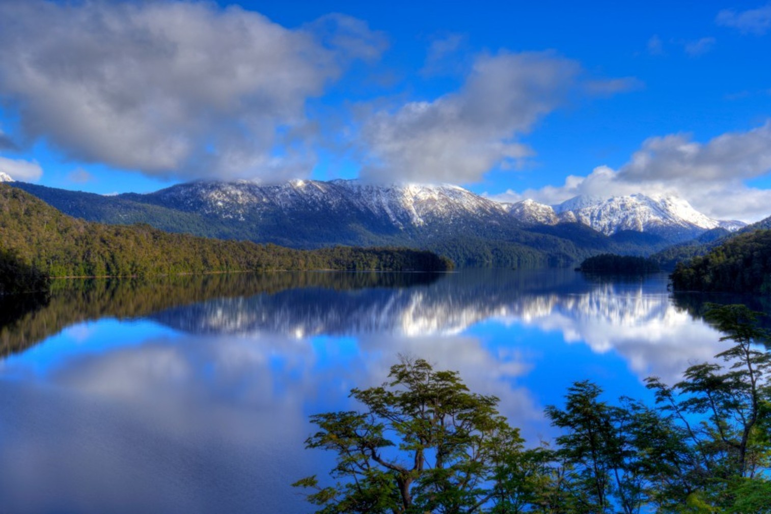 Neuquen argentina