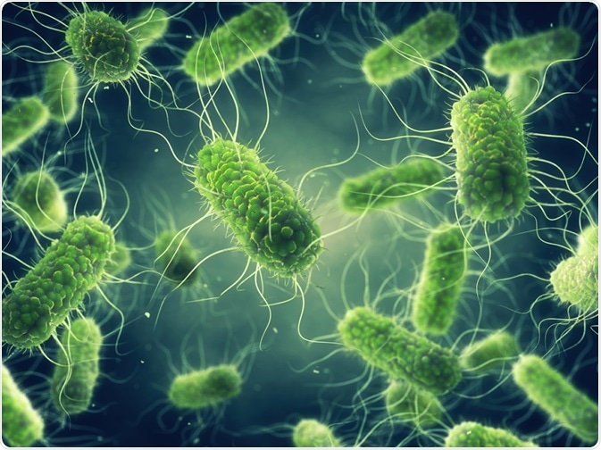Argentina province of Salta on alert due to increase in salmonella infections